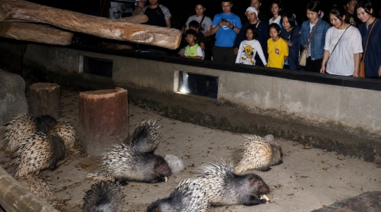 Zoo_Negara（ズーネガラ）で楽しむ1泊2日キャンプ体験